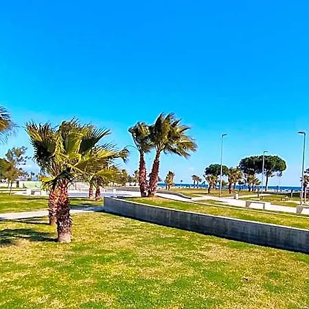 Nettuno